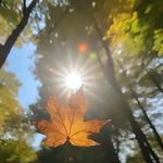 阿山的时空胶囊