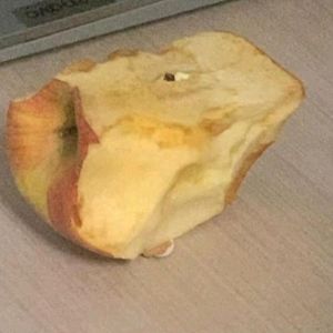 podcaster-avatar