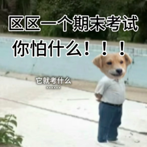 No.6 期末周的奇妙旅程：大学里的笑与泪