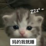 ruiil1_zZ