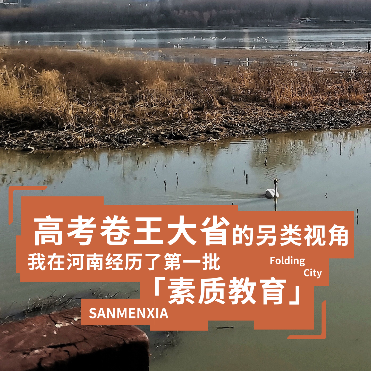 城市折叠03：高考卷王大省的另类视角，我在河南经历了第一批「素质教育」 episode artwork