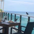 芒果西米路_9gUr