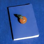 还有什么名字没被取啊