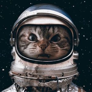 podcaster-avatar