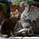 AAA小狸花水果店饿老板