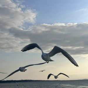 podcaster-avatar