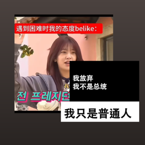 我放弃，我不是总统，我只是普通人