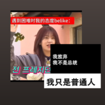 我放弃，我不是总统，我只是普通人