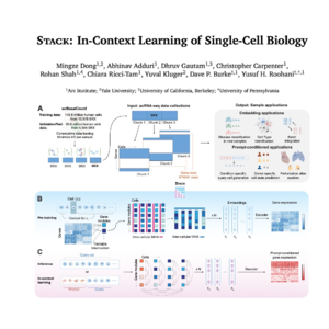 420-Stack: A Context-Aware Model for Single-Cell Analysis