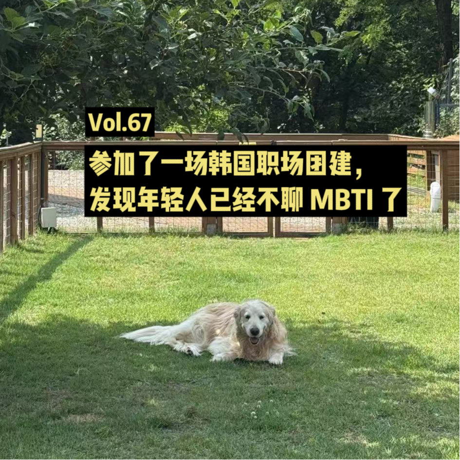 Vol.67 参加了一场韩国职场团建,发现年轻人已经不聊 MBTI 了