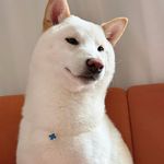 原小野Maggie