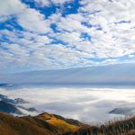 不会跳舞的斑马