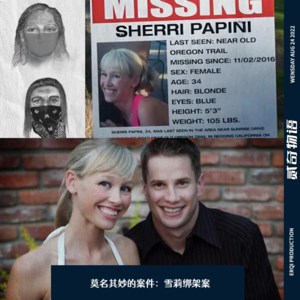 莫名其妙的案件：雪莉绑架案