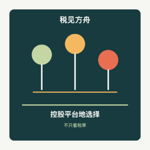 控股平台地选择，为什么不能只看税率？