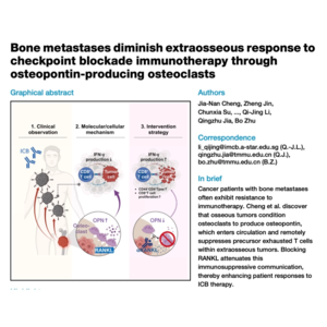076-Bone metastases diminish extraosseous response to ICB