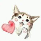 coyote_bbqq