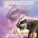 一小碗梨花茶