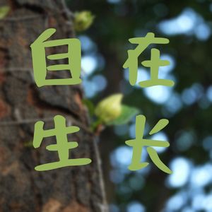激活迷走神经-478呼吸法冥想