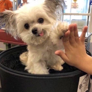 u.小孩子爱漂亮到底有什么错?