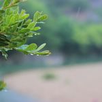 M的N种生活方式