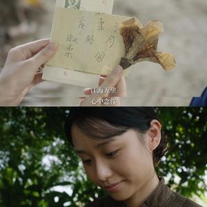 《给阿嬷的情书》书信内容解读