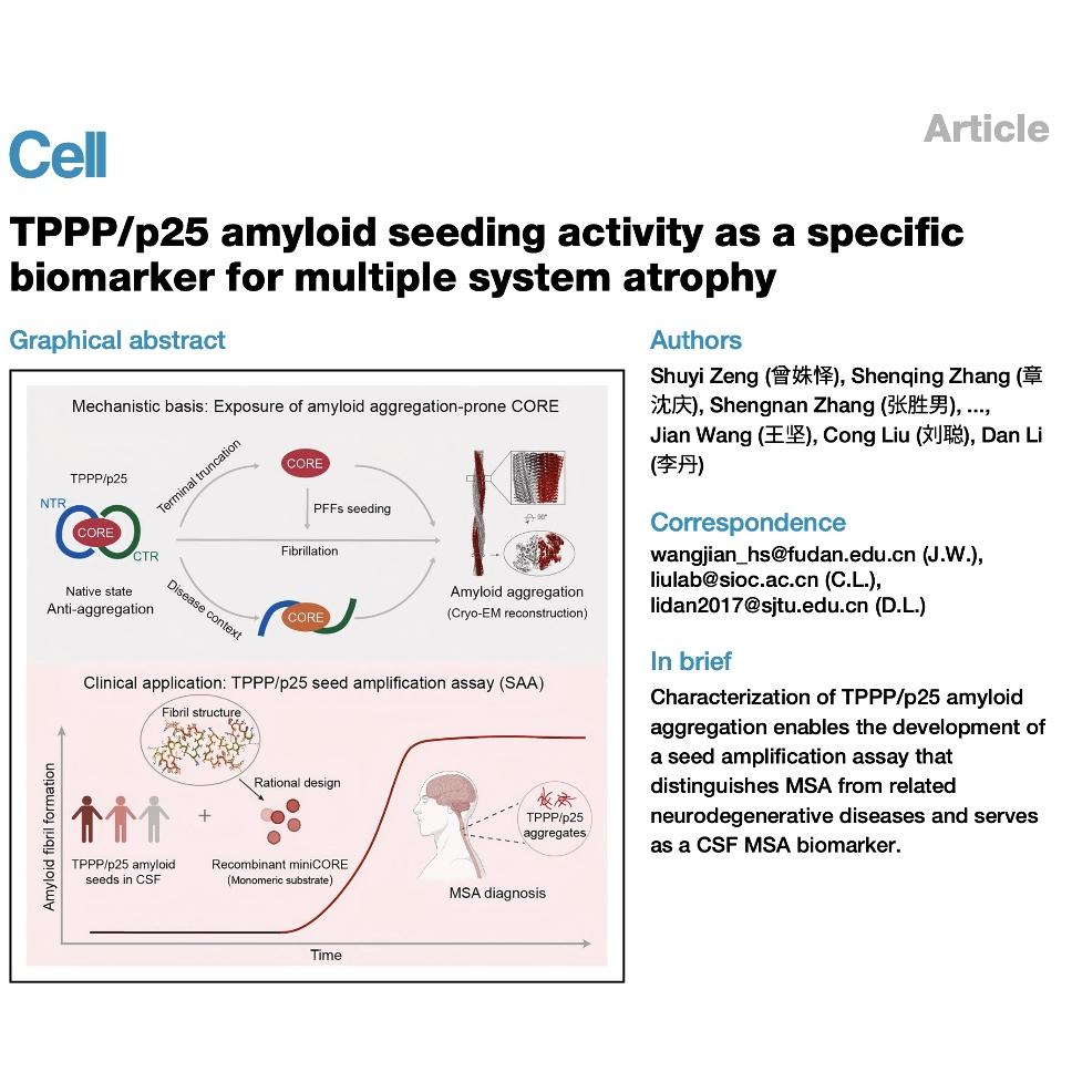 1107-TPPP/p25 Amyloid Seeding Activity for MSA episode artwork