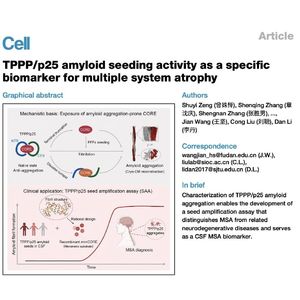 1107-TPPP/p25 Amyloid Seeding Activity for MSA