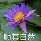 方块_wyE5