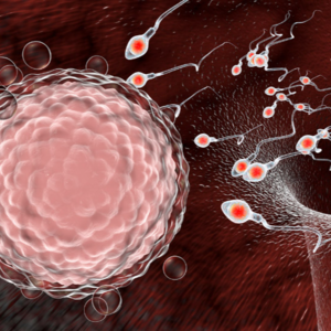 4.How did we get fertility so wrong?