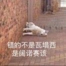 与行芥
