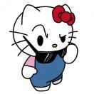 猪猪Tarokitty