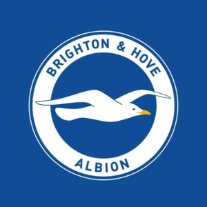 13.夏窗豪掷两个亿，聘请少帅有魄力~24/25赛季英超20队盘点（十三）：布莱顿