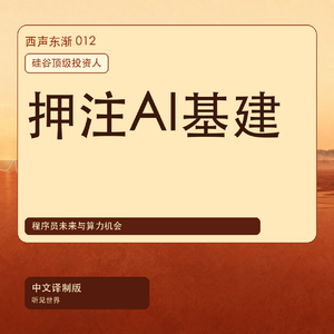 硅谷顶级投资人如何判断AI基础设施和程序员未来|中文译制版