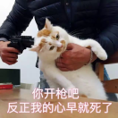 123_AWOb