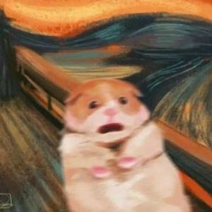 还没有想好名字的YY