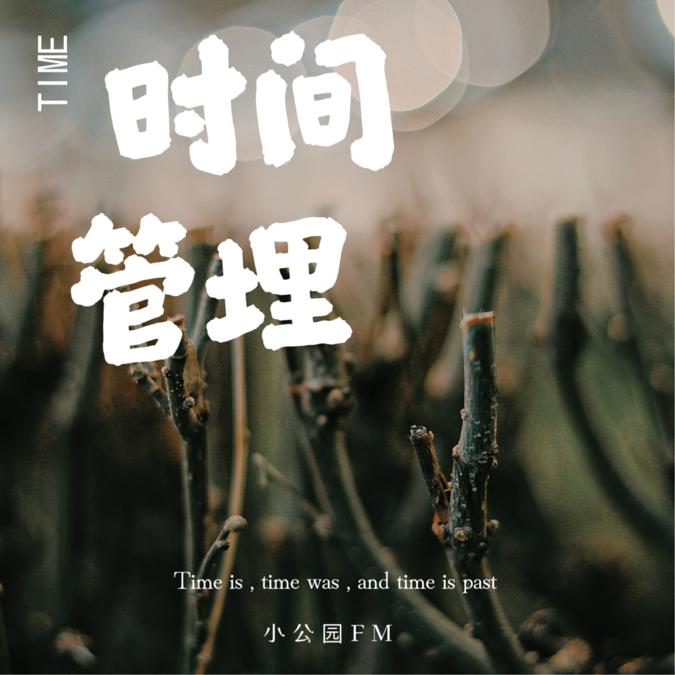 EP13-当待办大爆发，是时候来场时间管理大盘点啦 episode artwork