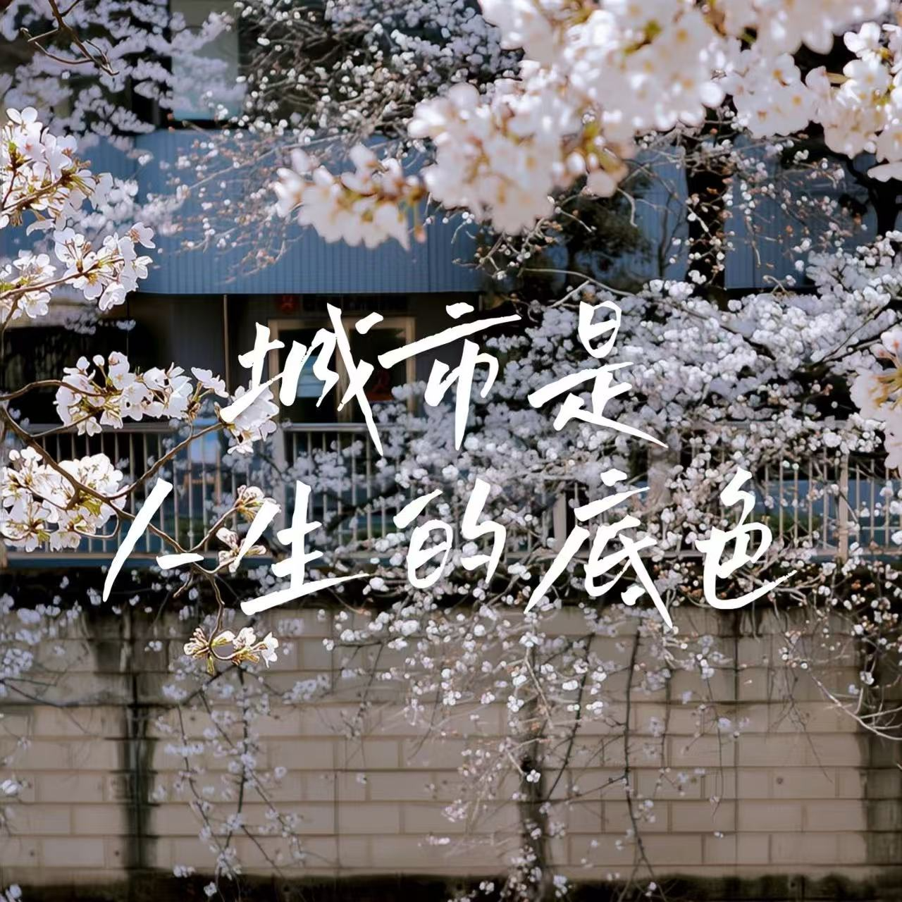 18 城市系列1 | 90%的人都没有明白：选城市＞选职业 episode artwork