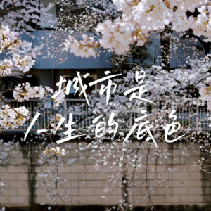 18 选城市＞选职业：90% 的人都搞反了