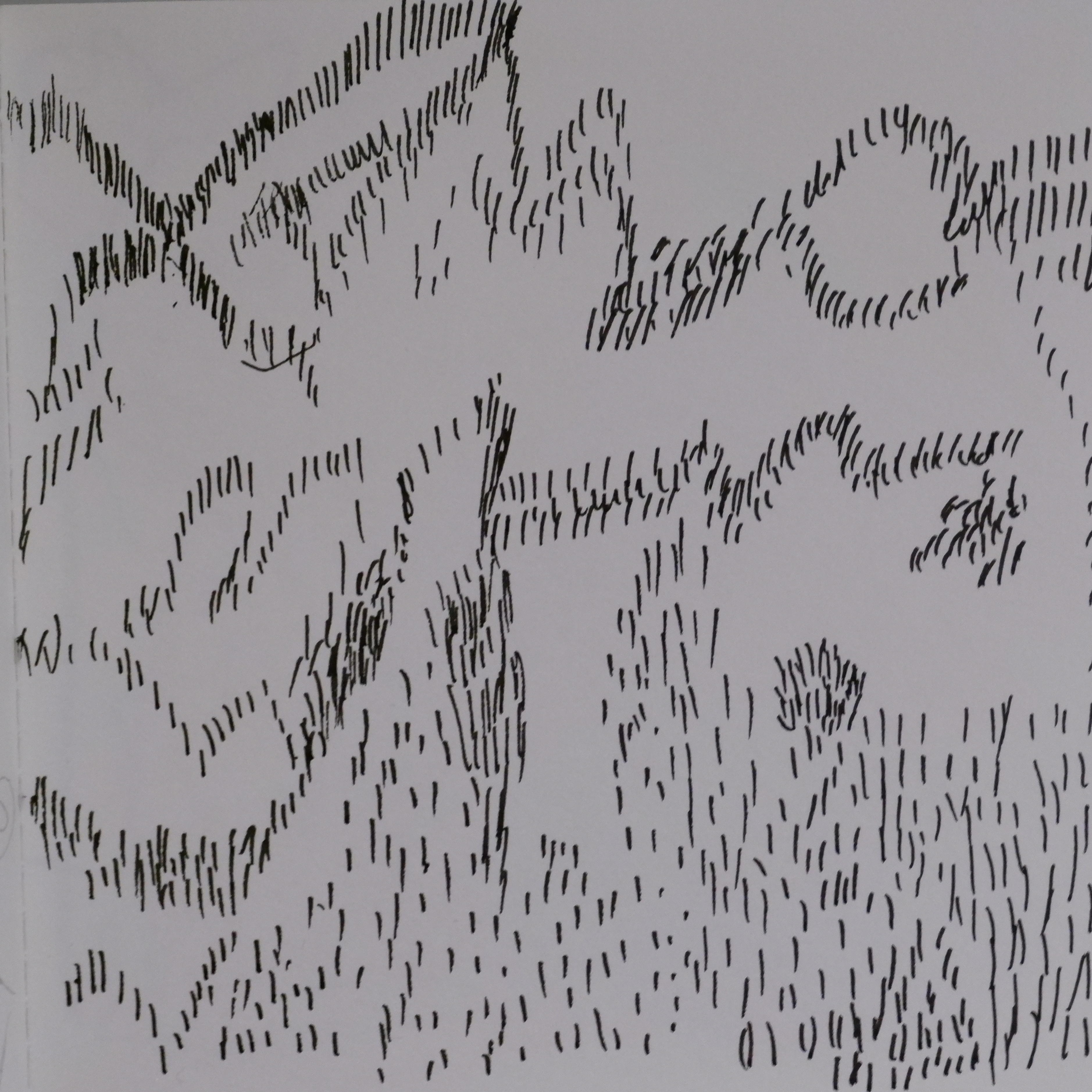 书籍推荐 | 45《葡萄柚》：选一首歌，播放它；拿一张纸，画出它 episode artwork