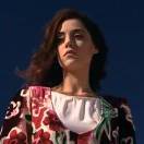 小张会有小狗的