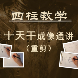 87.四柱教学-十天干成像通讲（合集）