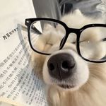 文书0419