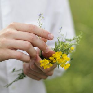 明心见性助睡眠