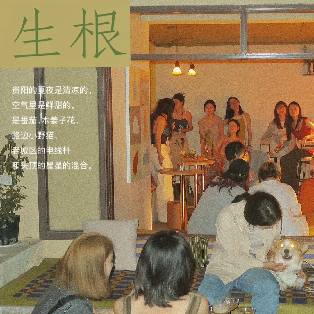 和朋友在贵州创业“生根”，人生就是尽情撒野