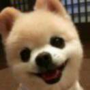 Daryl_eGUP