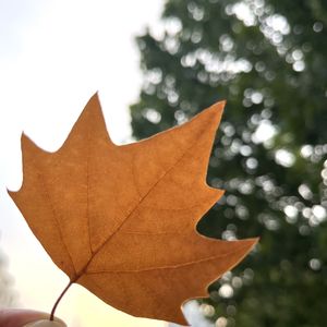 podcaster-avatar