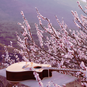 Vol.02 我都如何回忆你：36段关于礼物的独家记忆