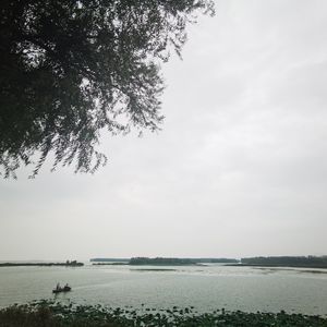 podcaster-avatar