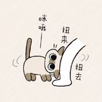 是康妮呀