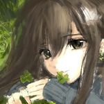 咸奶盖抹茶星冰乐